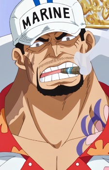 Akainu / Sakazuki from One Piece